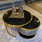 Modern Center Table / Coffee Table